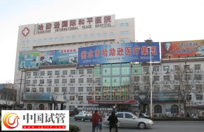 衡水试管婴儿医院有哪些