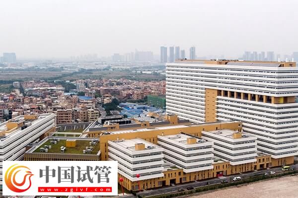 佛山试管婴儿价格整理，做到这3点少花冤枉钱！