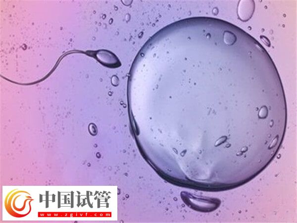 晋中试管婴儿成功率高不高