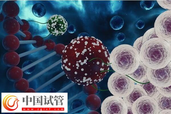 晋中人工授精如何收费