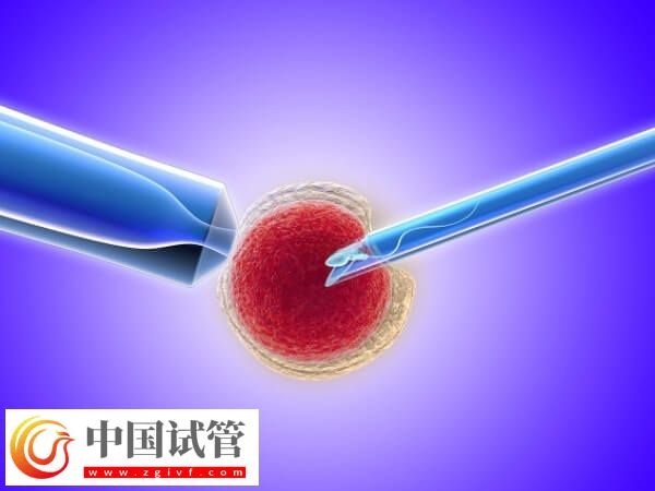 晋中做试管婴儿有哪些骗局