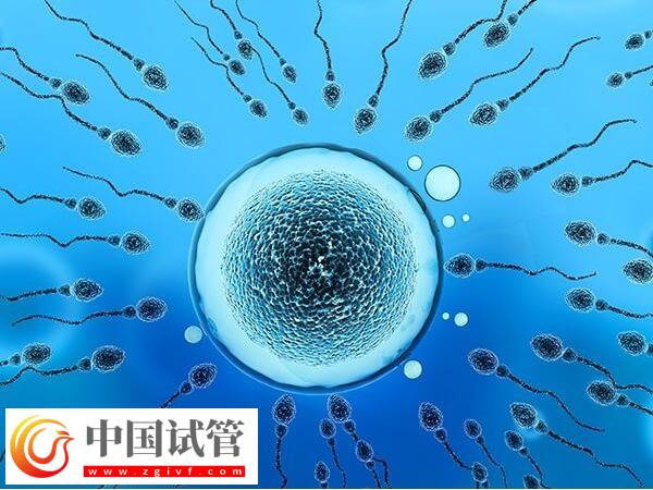 吕梁人工授精成功率高不高