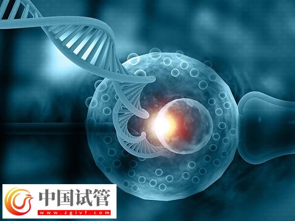赤峰试管婴儿医生哪个好