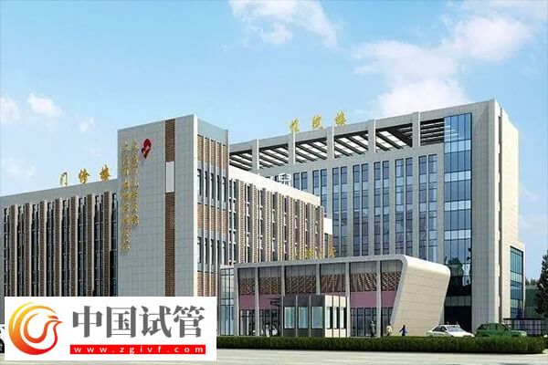 深扒青岛市妇幼保健院生殖中心：三代试管婴儿助孕率超68%