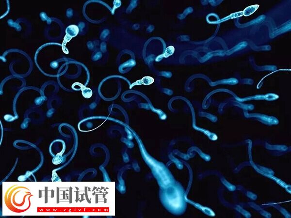 锦州供精人授医院哪家好