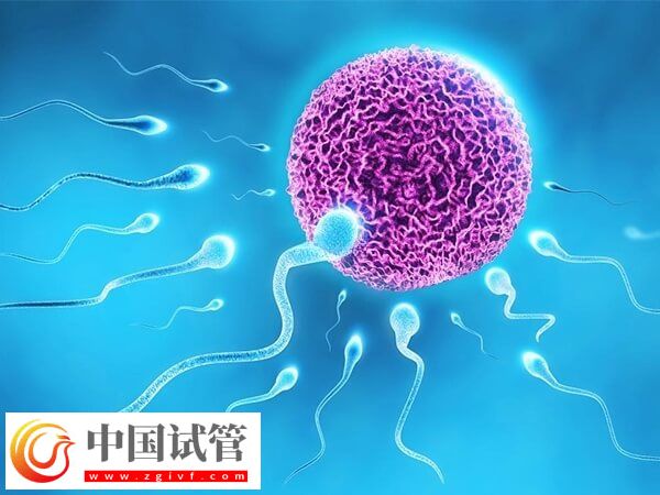 包头供卵助孕有什么条件