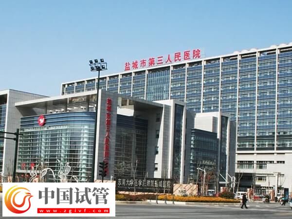 盐城市第三人民医院做试管婴儿生一对双胞胎费用多少？