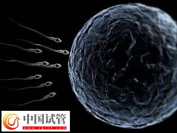 天津开展供精人工授精技术的医院有哪几家?(图1) 天津开展供精人工授精技术的医院有哪几家?(图1)