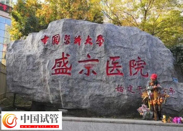 试管婴儿移植囊胚后不可忽略的6大细节,看完就知该怎么吃!(图1) 试管婴儿移植囊胚后不可忽略的6大细节,看完就知该怎么吃!(图1)