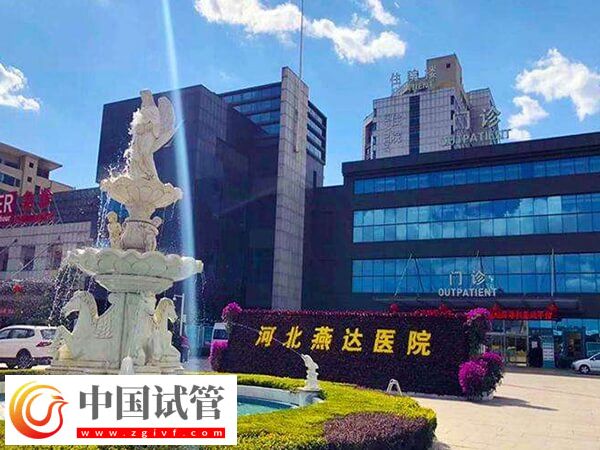河北试管婴儿机构介绍,1分钟搞清楚廊坊哪家口碑不错!(图2) 河北试管婴儿机构介绍,1分钟搞清楚廊坊哪家口碑不错!(图2)
