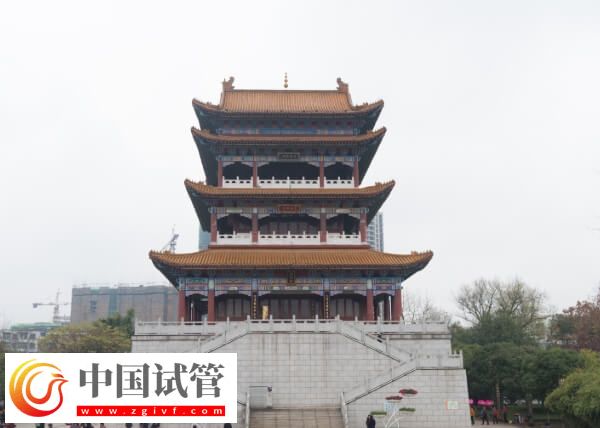 宜春试管婴儿医院有哪些