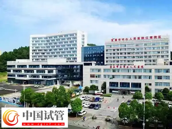 宜昌市中心人民医院试管婴儿生双胞胎多少钱