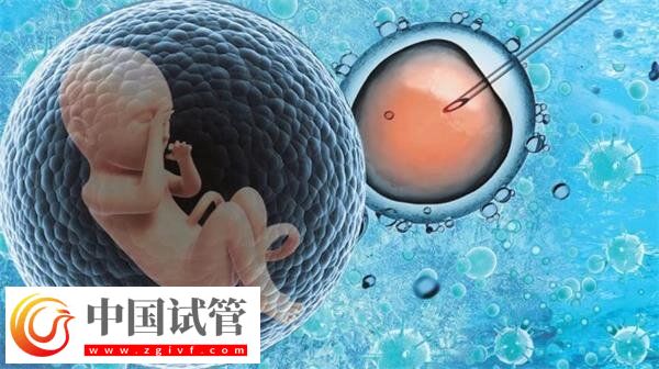 景德镇市妇幼保健院试管费用及成功率一网打尽，汇总全面