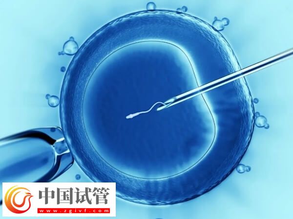 周口不孕不育医院哪家好(图4) 周口不孕不育医院哪家好(图4)