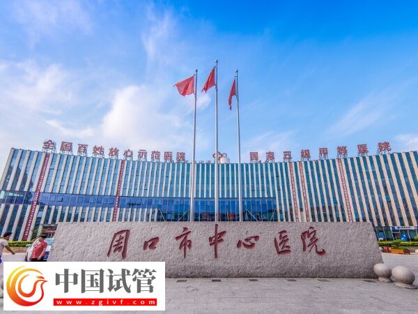 周口能不能做试管婴儿
