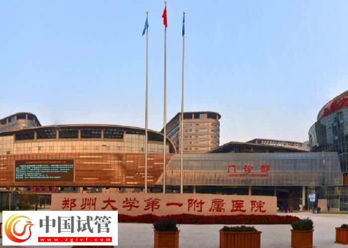 信阳能不能做试管婴儿