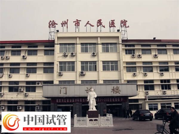 沧州二代试管婴儿多少钱？过来人：一个周期3万起