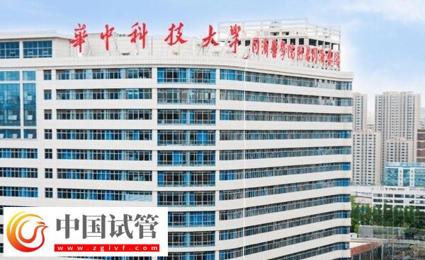 武汉三代试管婴儿机构速阅，读完即知江岸区有没有！