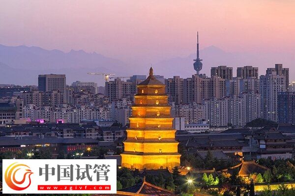 河池哪些不孕不育医院好