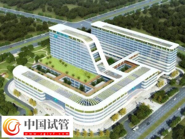 玉林能不能做三代试管婴儿(图2) 玉林能不能做三代试管婴儿(图2)
