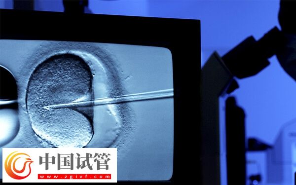 贵港试管婴儿费用多少(图2)