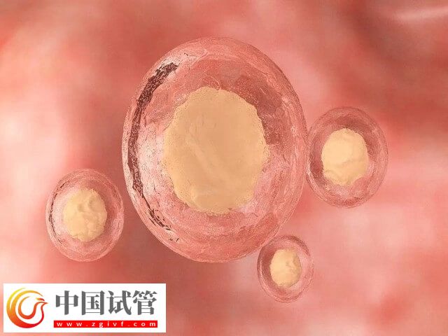 沧州人民医院试管二次移植有冻胚费用高不高