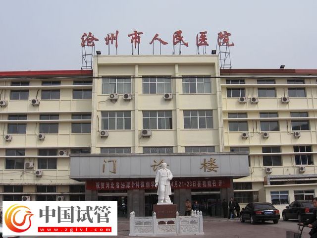 沧州人民和中心医院做试管哪个好