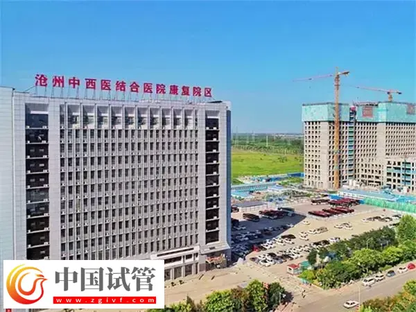 沧州中西医结合医院试管婴儿双胞胎费用多少