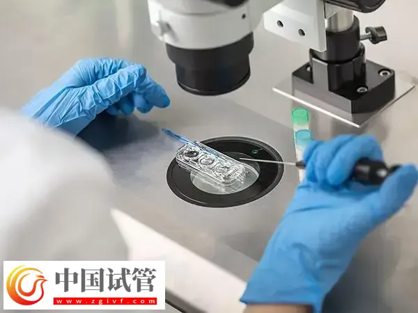邢台三院试管婴儿费用是多少