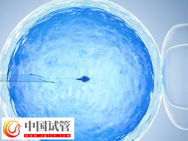 临汾人民医院试管流程有哪些