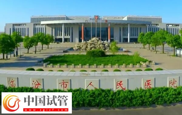 临汾市人民医院试管成功率多少
