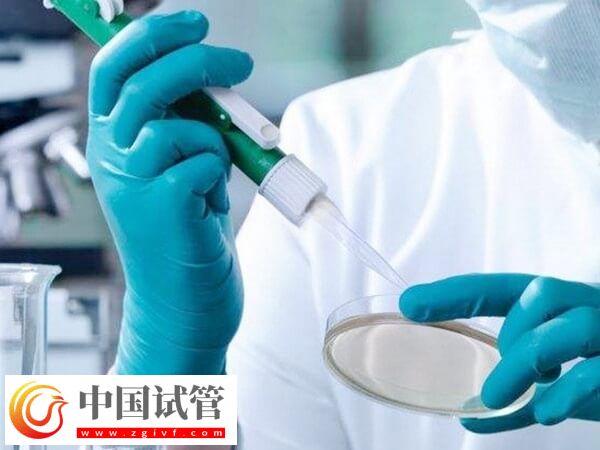 长治和平医院试管生双胞胎费用多少(图2) 长治和平医院试管生双胞胎费用多少(图2)