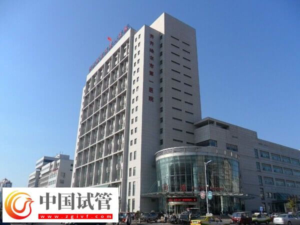齐齐哈尔第一医院做试管能不能用医保