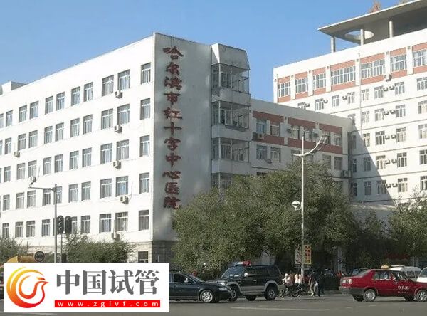 哈尔滨市红十字中心医院做试管多少钱