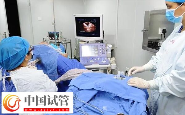 取卵要花多少钱(图1) 取卵要花多少钱(图1)