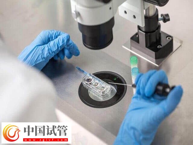 冻胚移植后小腹用力会怎样(图1)