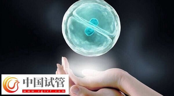 选择鲜胚还是冻胚移植(图1)