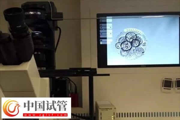 3个胚胎可以养囊几个(图1) 3个胚胎可以养囊几个(图1)