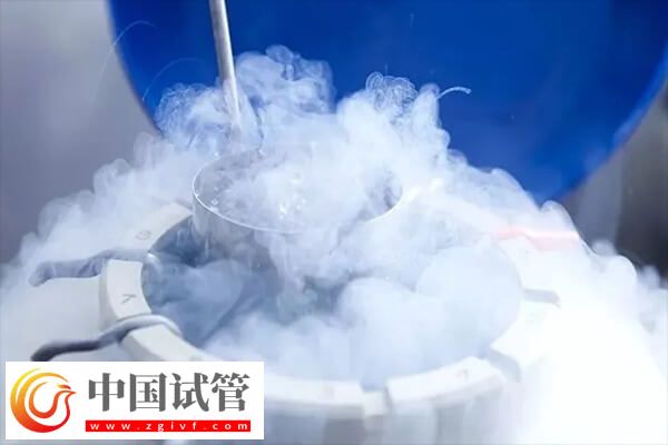 三代试管为什么移植都是冻胚(图1)