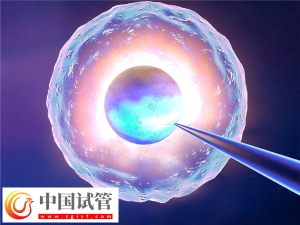 实施供卵试管助孕时间(图1)