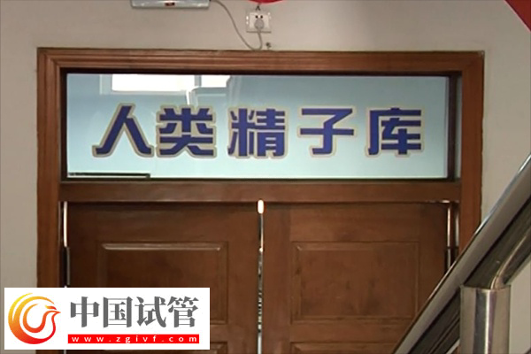 申请供卵排队时间(图1) 申请供卵排队时间(图1)
