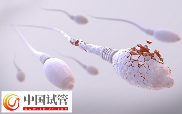 未婚女性做供精试管多少钱一次(图1)