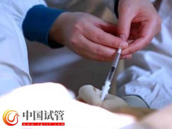囊胚移植第五天屁多怎么回事(图1)