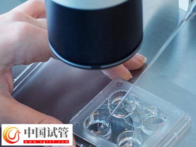 三代试管移植成功了要注意什么(图1)