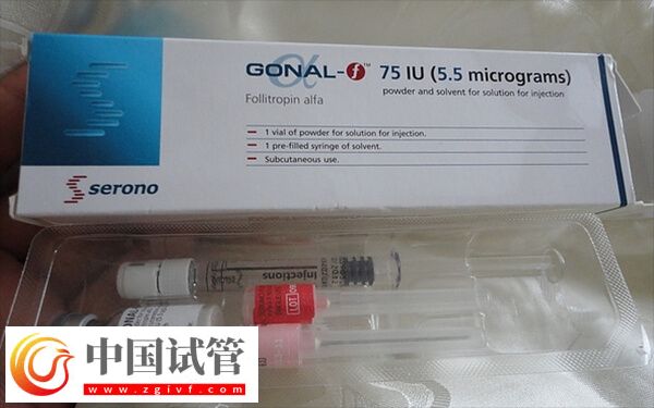 打完果纳芬促排针要不要休息(图1) 打完果纳芬促排针要不要休息(图1)