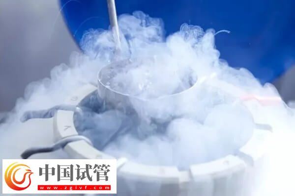 囊胚解冻后几小时移植(图1) 囊胚解冻后几小时移植(图1)