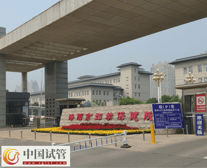 洛阳市妇幼保健院试管需要什么证件