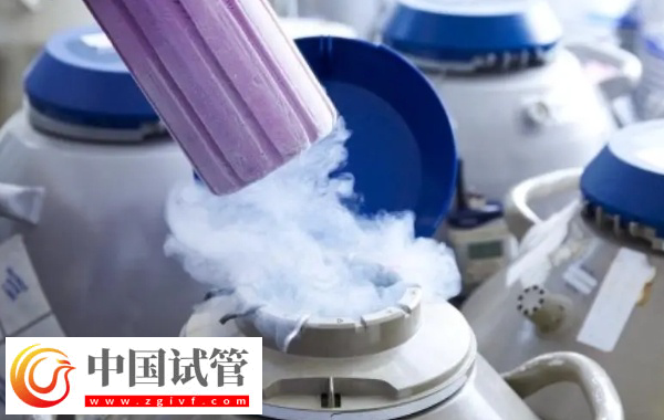 前往新加坡冻卵的限制条件