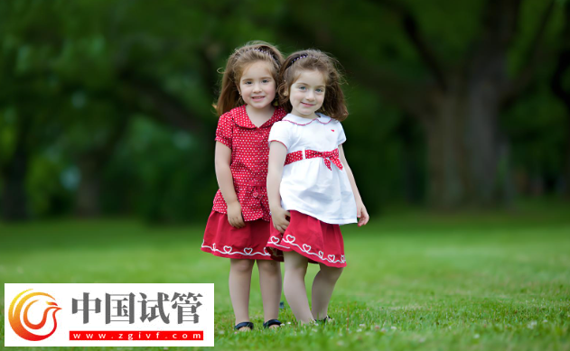 大连试管婴儿费用解析：双胞胎与单胞胎的差异！