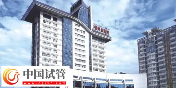 福州总院试管婴儿成功率是多少